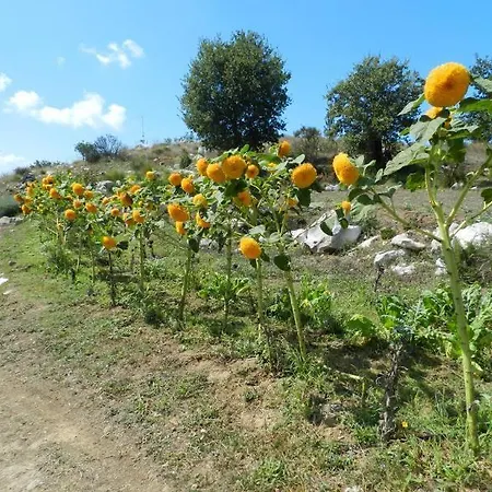 Azienda Agricola Fattoria Terranov Farm stay