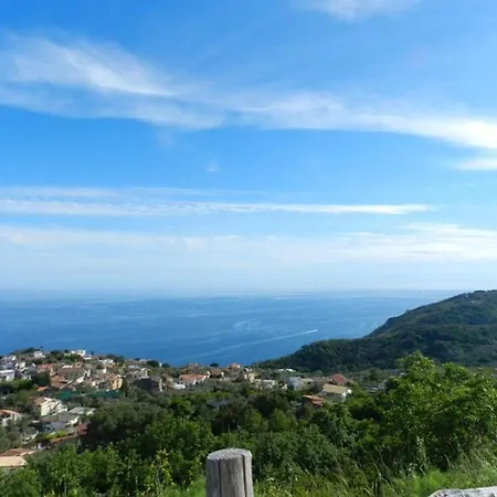 Azienda Agricola Fattoria Terranov Farm stay