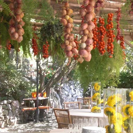 Farm stay Azienda Agricola Fattoria Terranov Sorrento