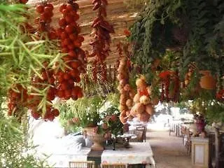 Azienda Agricola Fattoria Terranov Farm stay *