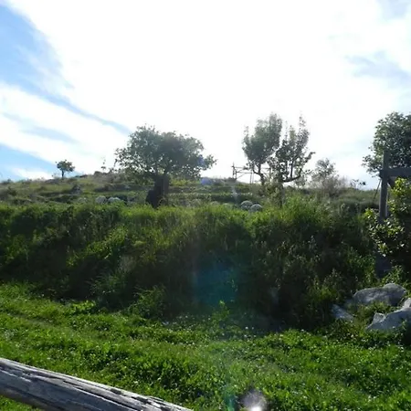 Farm stay Azienda Agricola Fattoria Terranov Sorrento